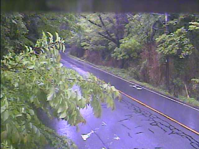 阿蘇東登山道路 阿蘇市坊中・ライブカメラ